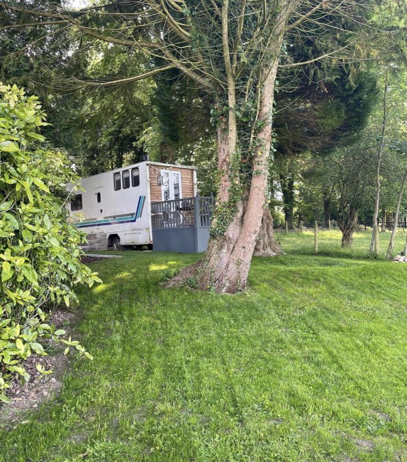 Dobbin The Horse Box In The Lake District Cockermouth Exterior photo