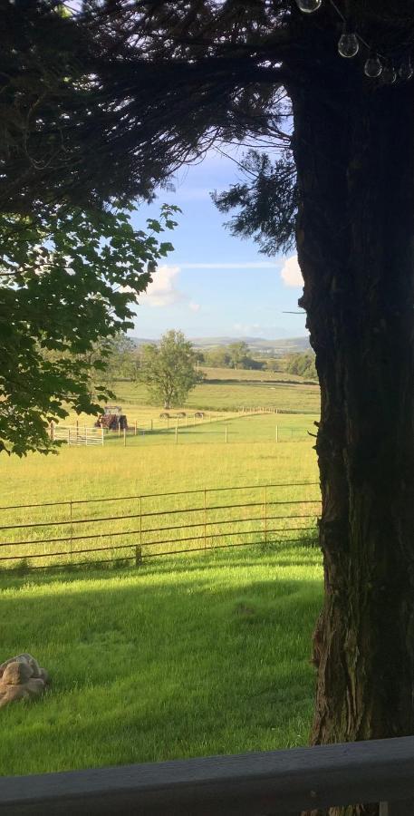 Dobbin The Horse Box In The Lake District Cockermouth Exterior photo