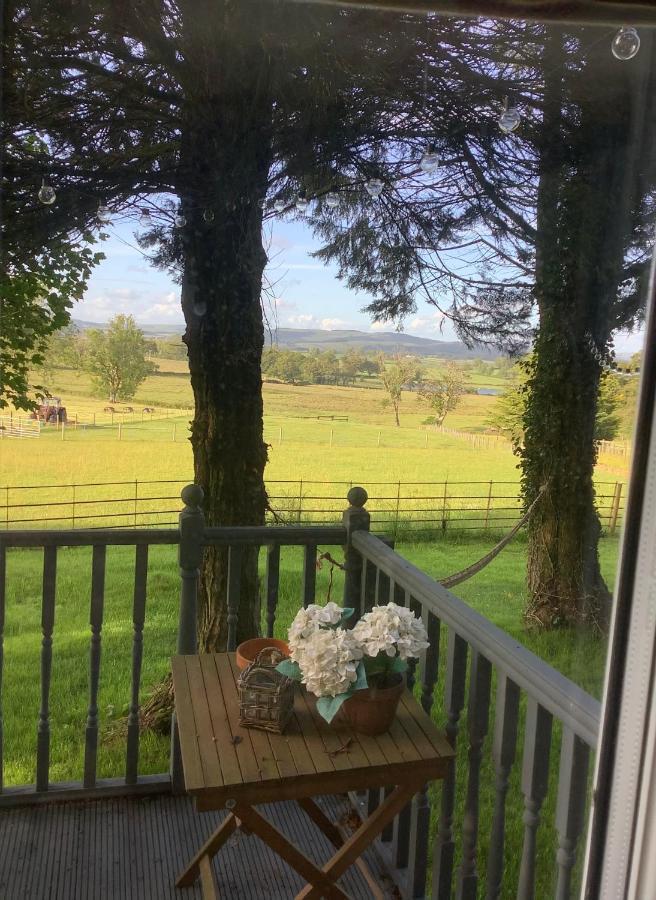 Dobbin The Horse Box In The Lake District Cockermouth Exterior photo